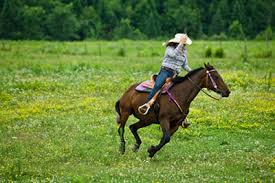 Horse Riding